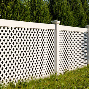 Vinyl and Wood Fence Services